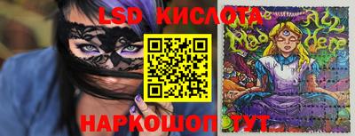 apvp Гатчина