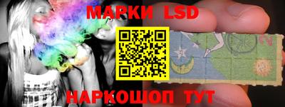 apvp Гатчина