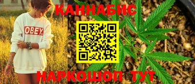 apvp Гагарин