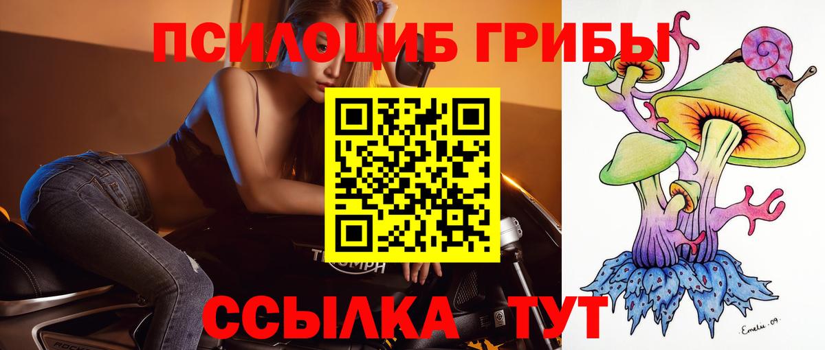 Галлюциногенные грибы ЛСД Каменка