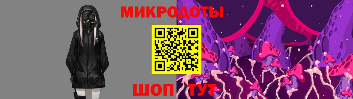 Псилоцибиновые грибы мухоморы  Псилоцибиновые грибы GOLDEN TEACHER  Вход с VPN  Каменка 